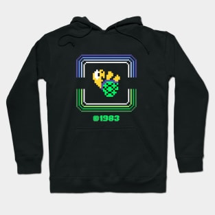 Turtle Hoodie